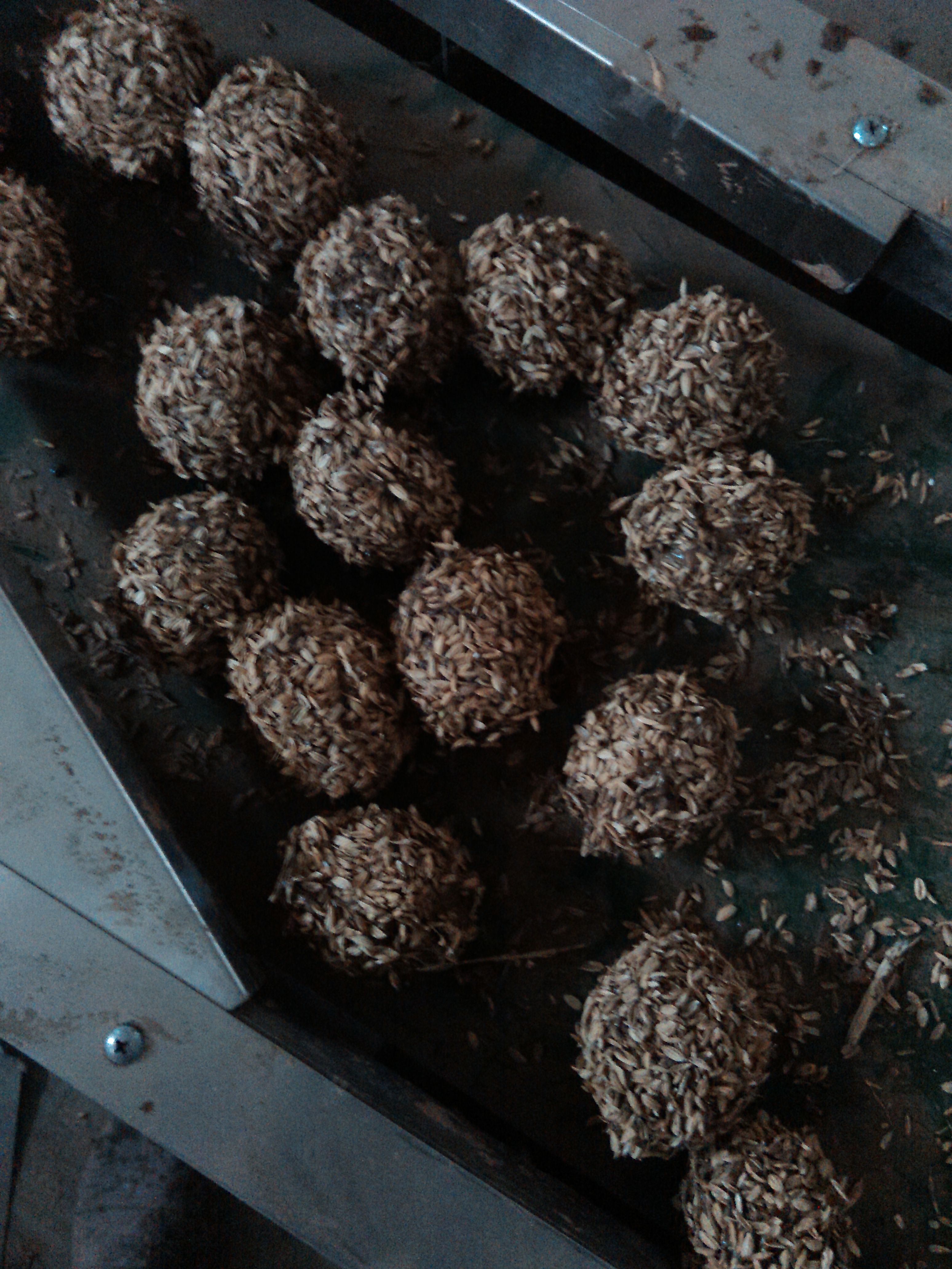 全自动不锈钢皮蛋裹圆机裹稻壳效果图