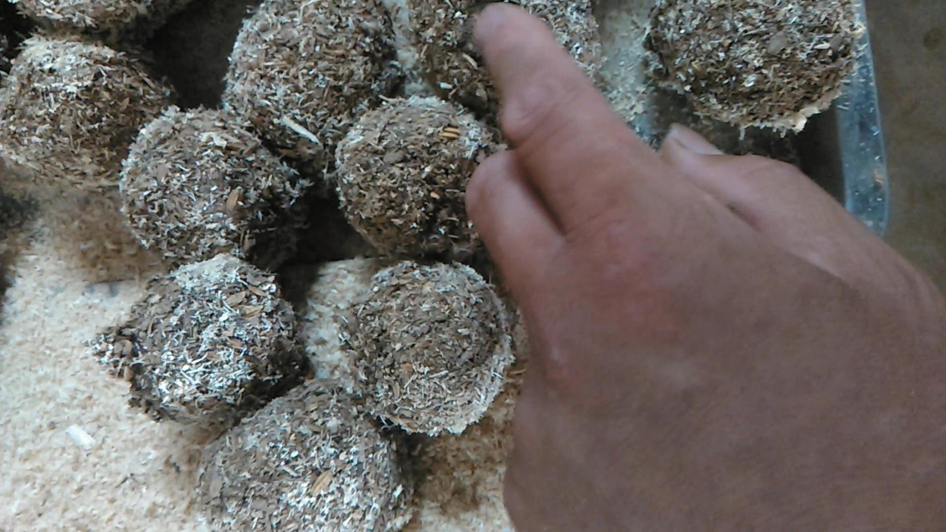 检查鸡蛋裹圆厚度