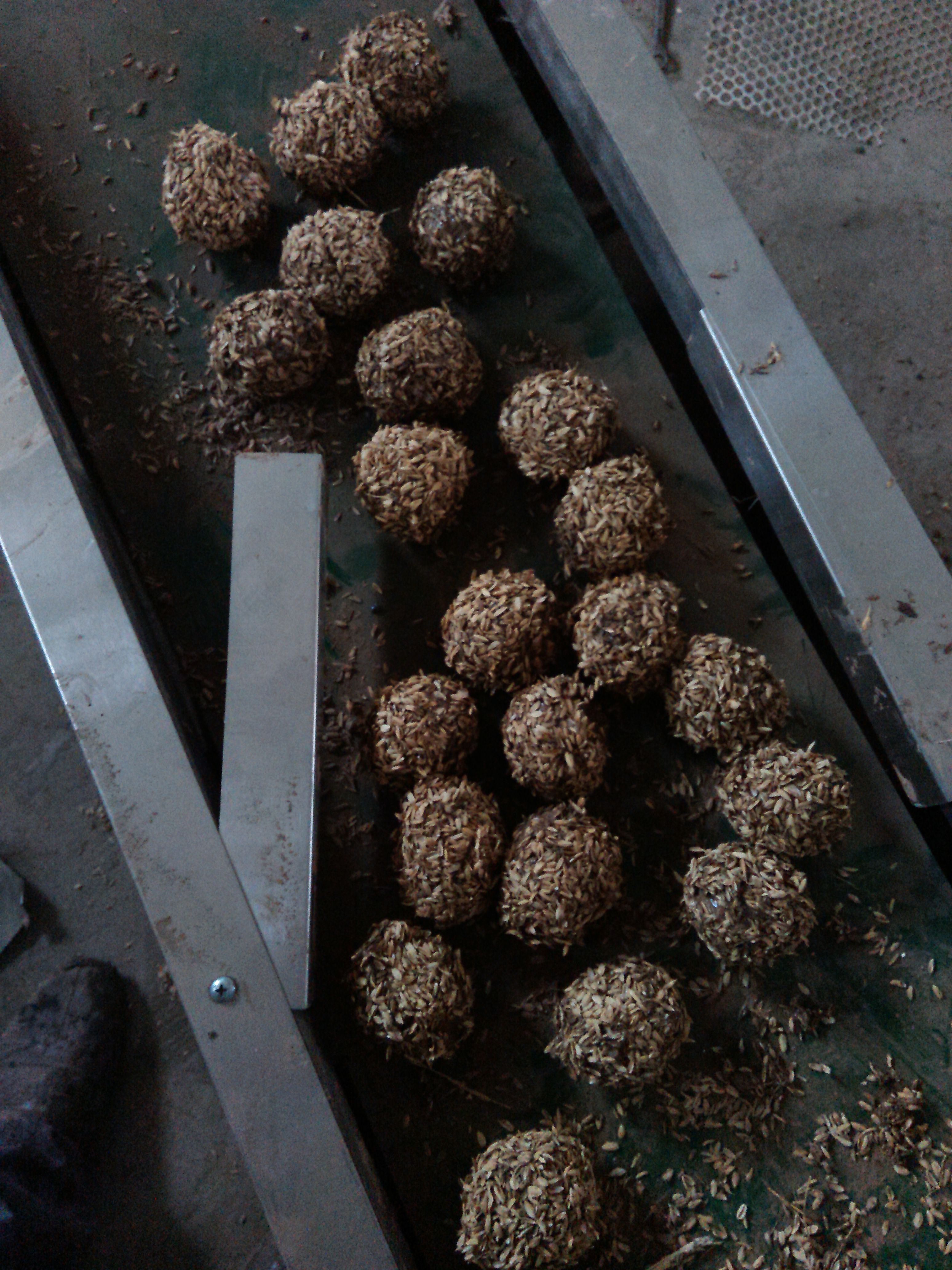 皮蛋裹泥裹稻壳效果图